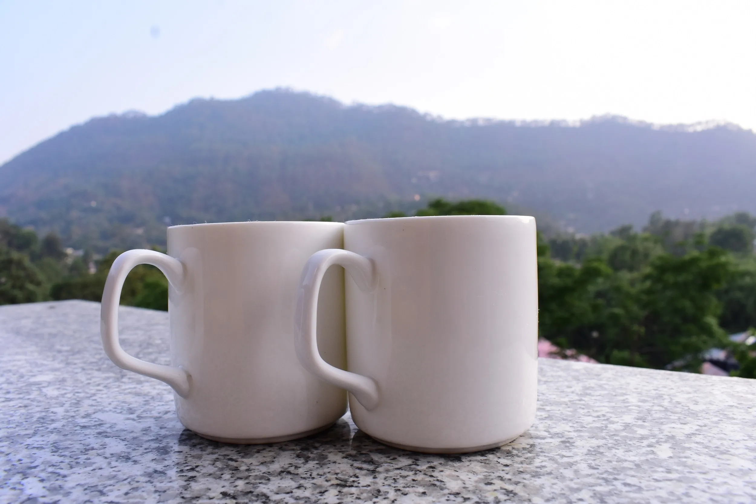 Aaroham The Watergate Hotel Bhimtal Others