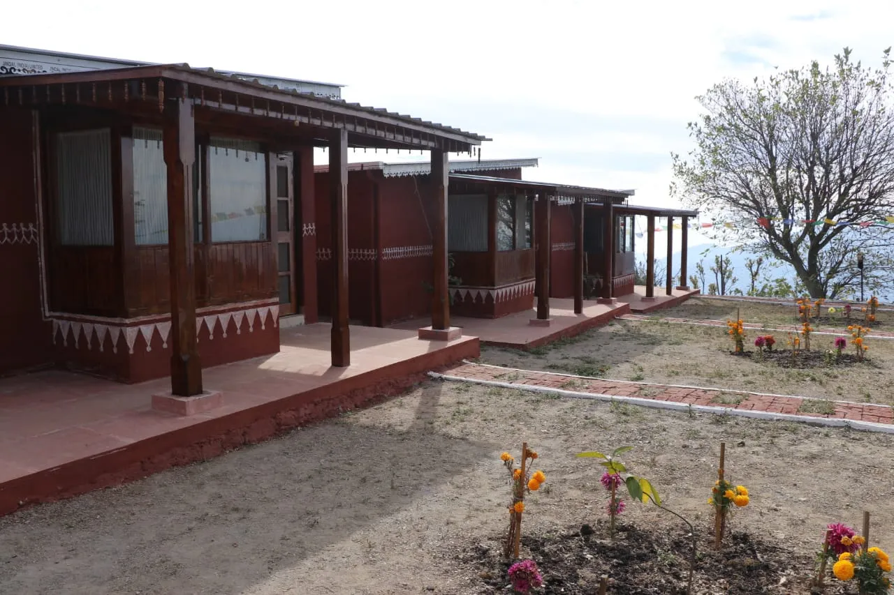 Pinaceae Resort Others
