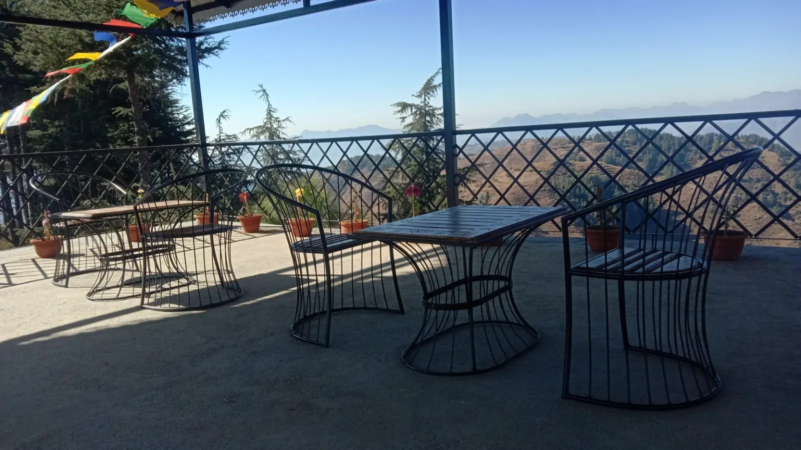 Pinaceae Resort Outdoors