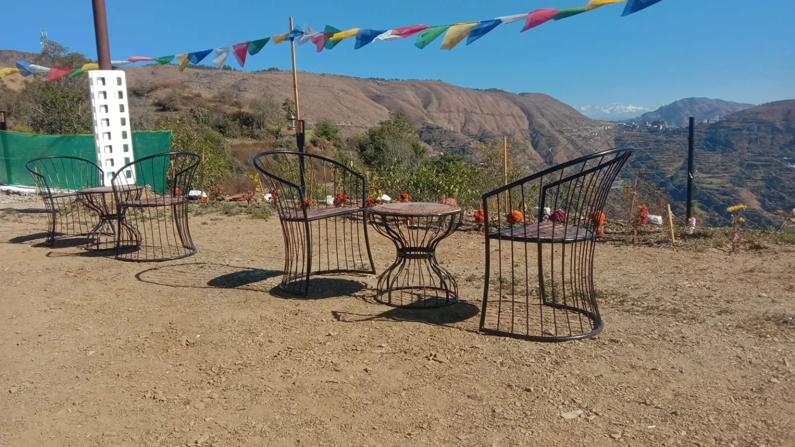 Pinaceae Resort Outdoors