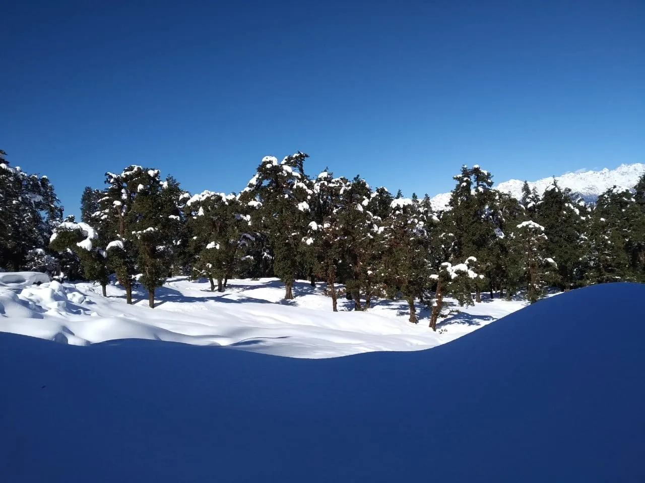 The Meadows Chopta Camp Stay Outdoors