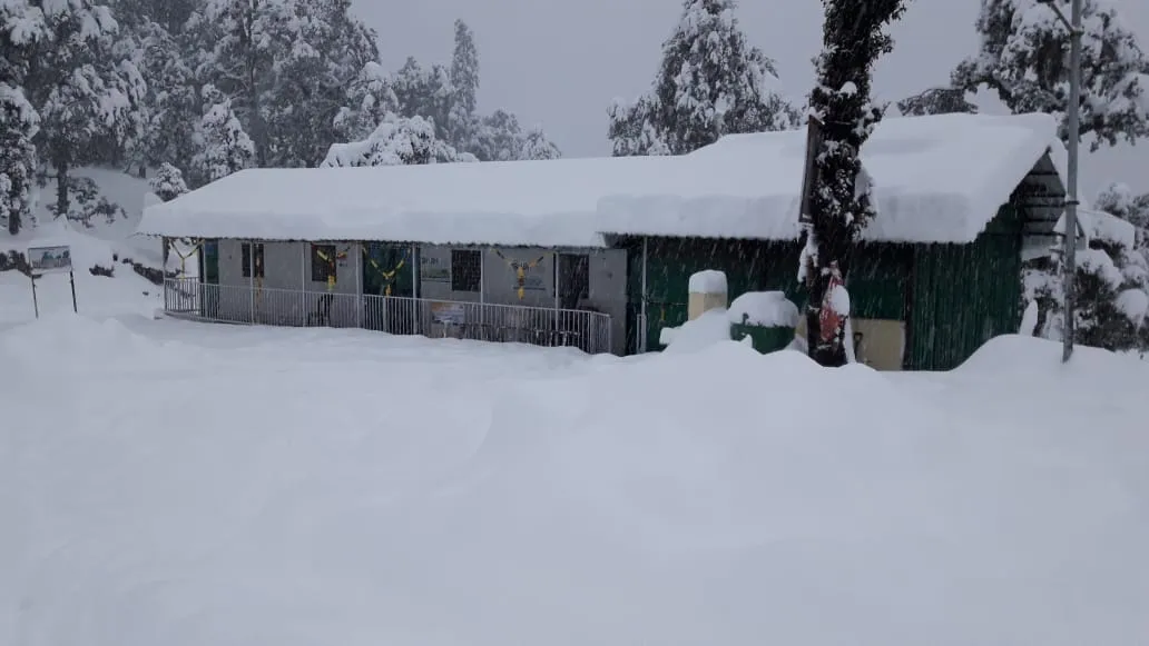 The Meadows Chopta Camp Stay Outdoors