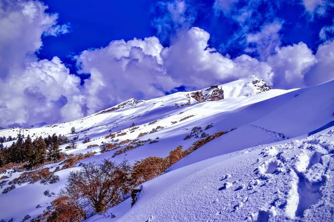 The Meadows Chopta Camp Stay Outdoors