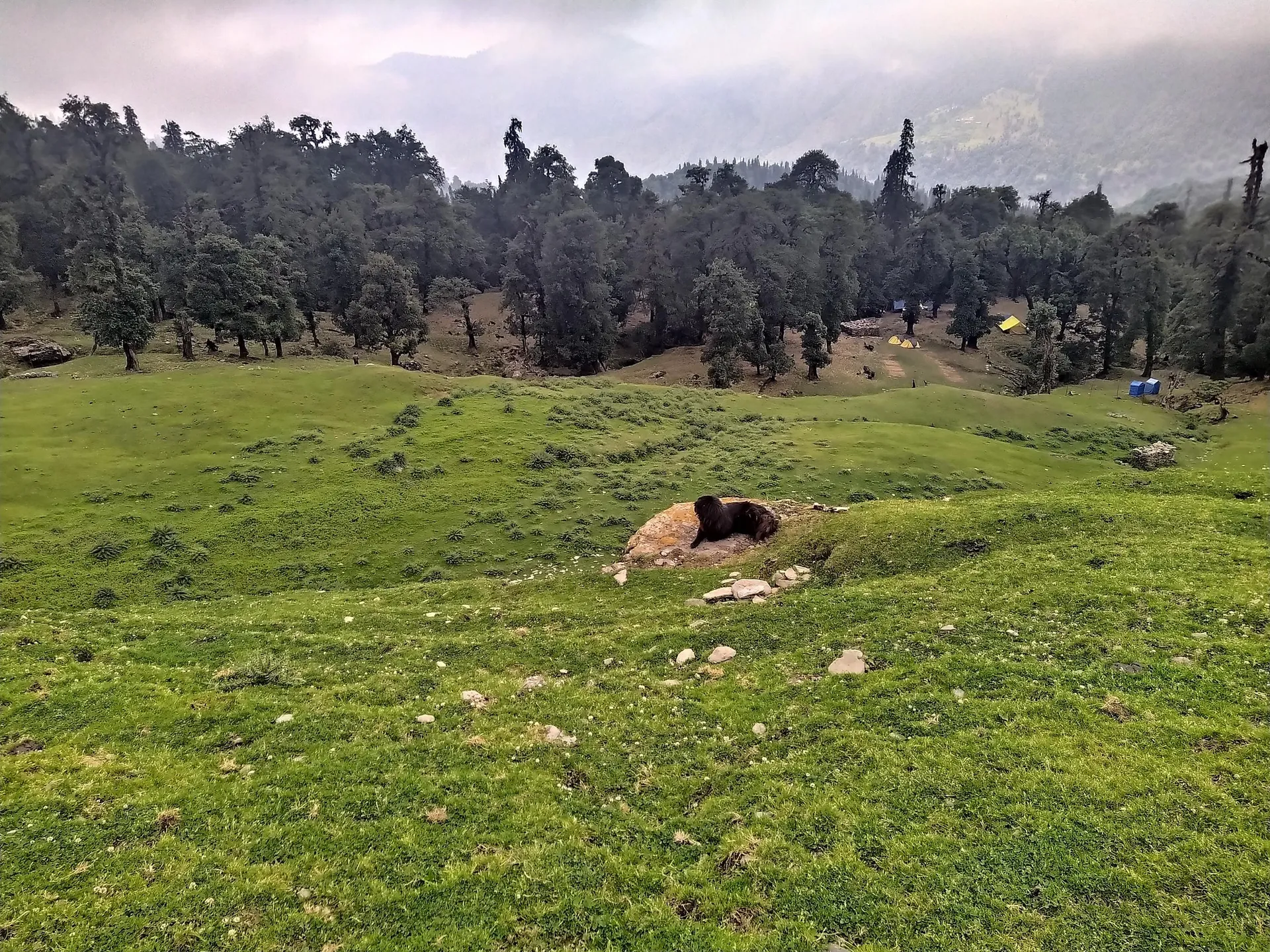 The Meadows Chopta Camp Stay Outdoors