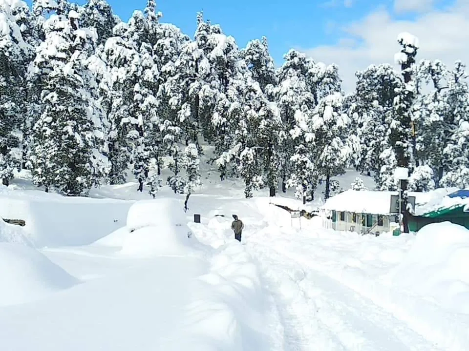 The Meadows Chopta Camp Stay Outdoors