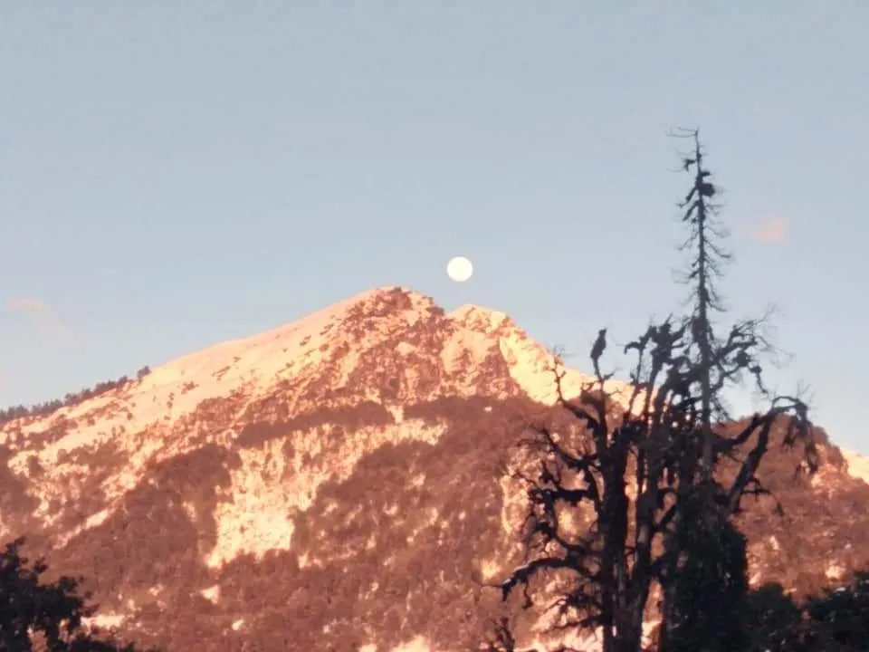 The Meadows Chopta Camp Stay Outdoors