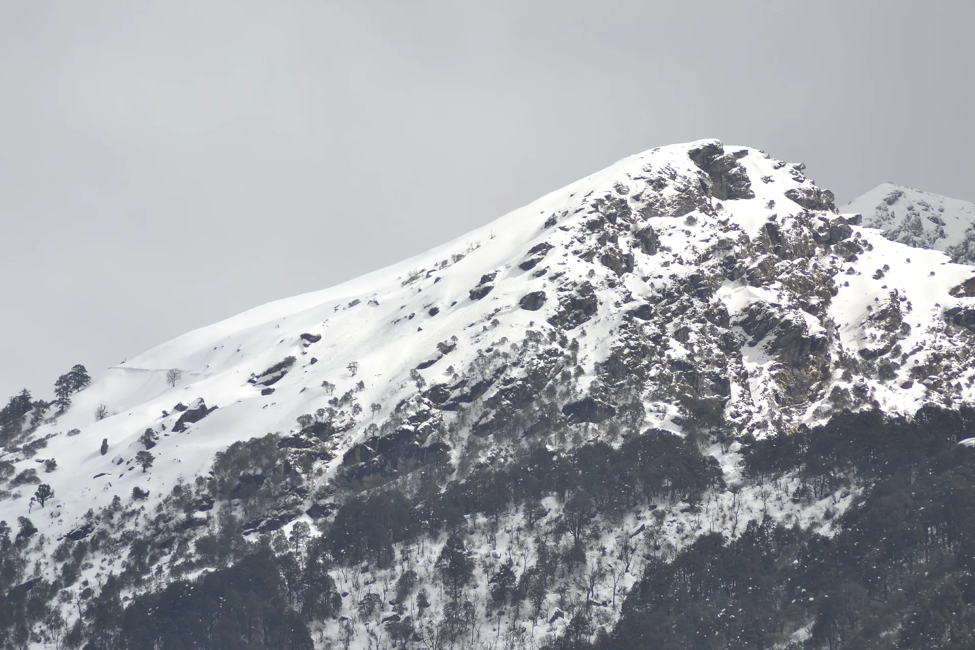 The Meadows Chopta Camp Stay Outdoors