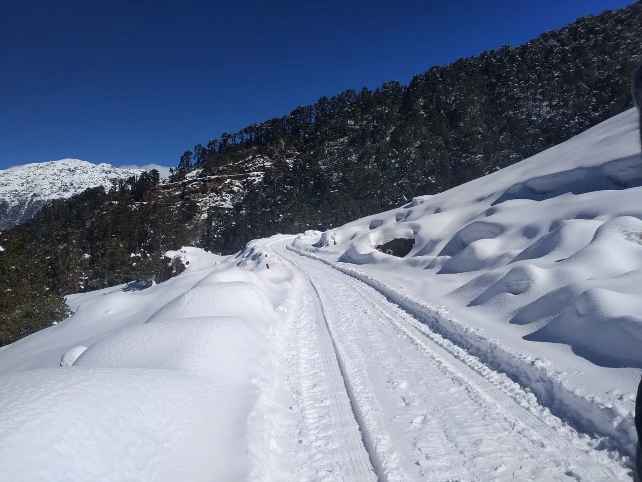 The Meadows Chopta Camp Stay Outdoors