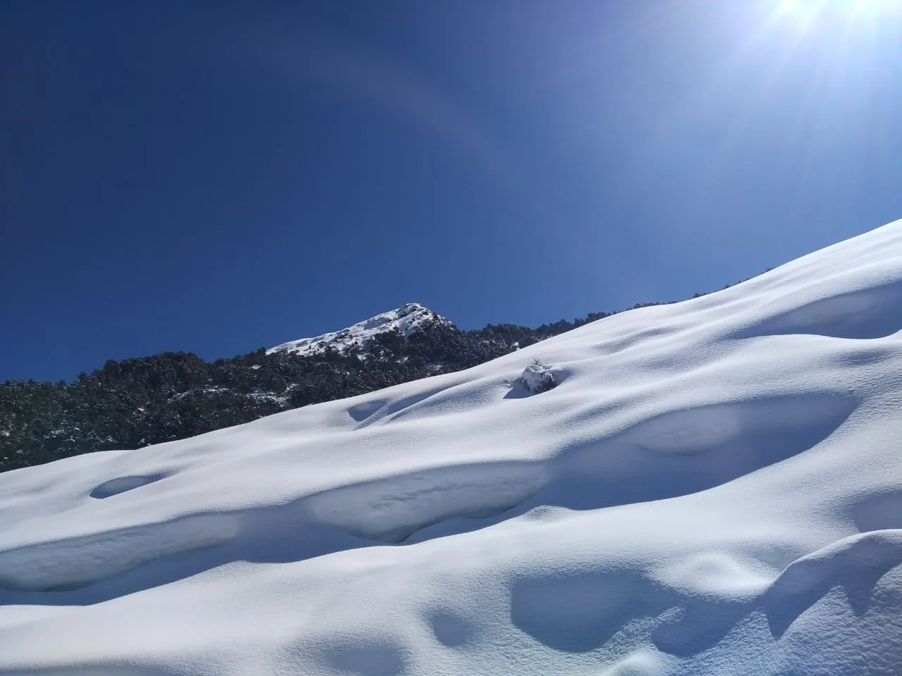 The Meadows Chopta Camp Stay Outdoors