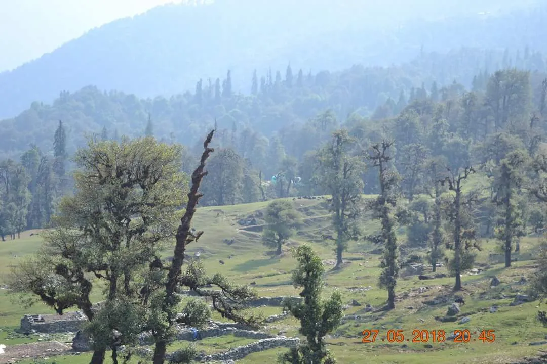 The Meadows Chopta Camp Stay Outdoors