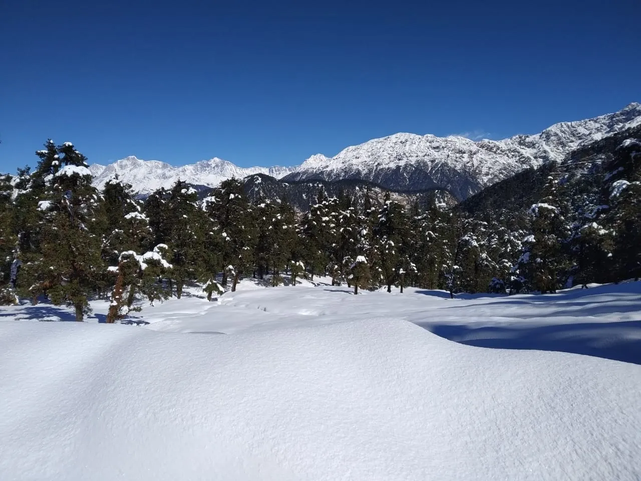 The Meadows Chopta Camp Stay Outdoors