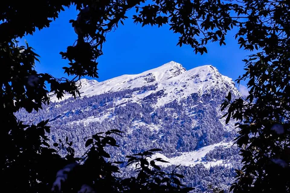 The Meadows Chopta Camp Stay Outdoors