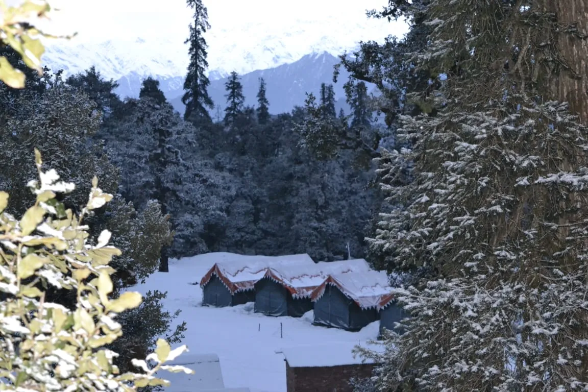 The Meadows Chopta Camp Stay Outdoors