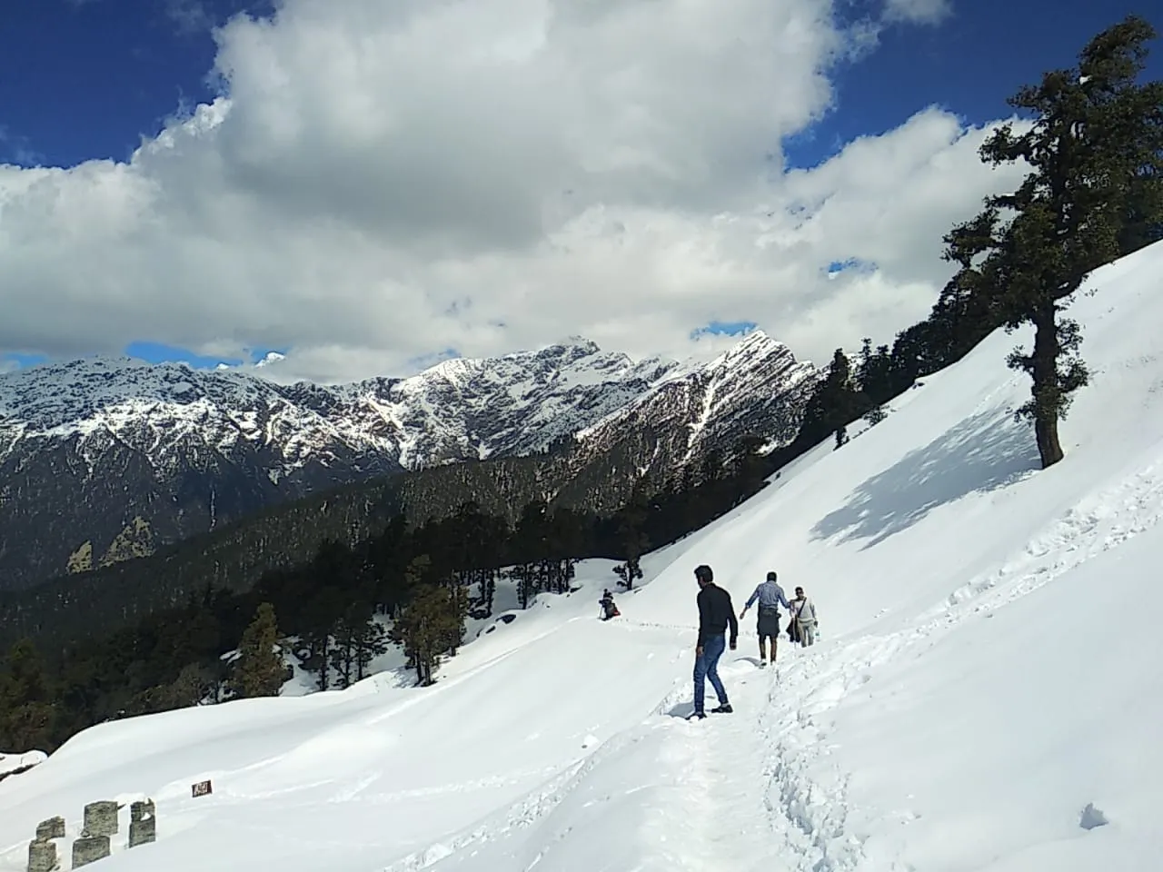 The Meadows Chopta Camp Stay Outdoors