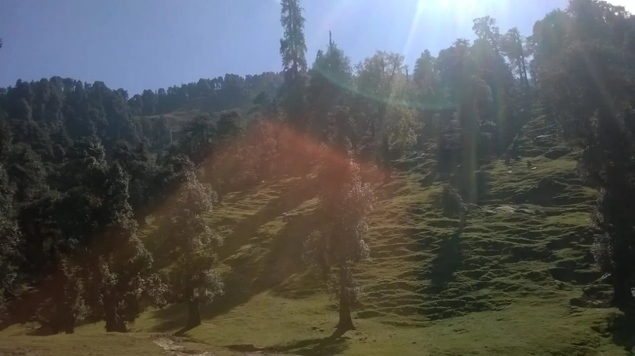 The Meadows Chopta Camp Stay Outdoors