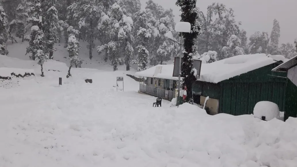 The Meadows Chopta Camp Stay Outdoors