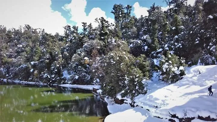 The Meadows Chopta Camp Stay Outdoors