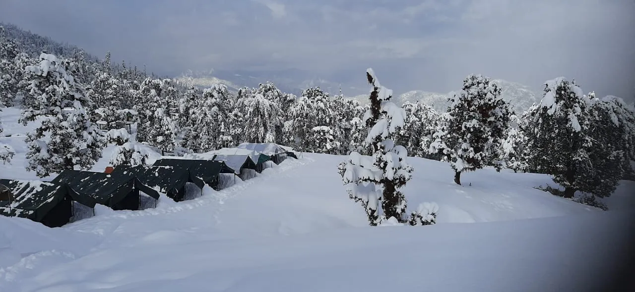 The Meadows Chopta Camp Stay Outdoors