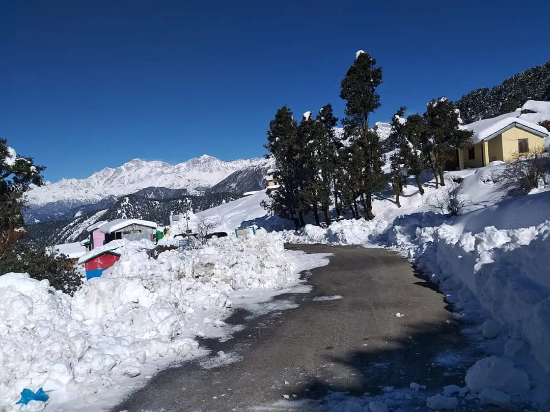 The Meadows Chopta Camp Stay Outdoors