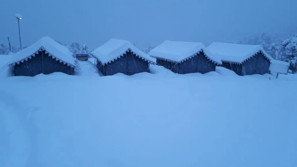The Meadows Chopta Camp Stay Terrace