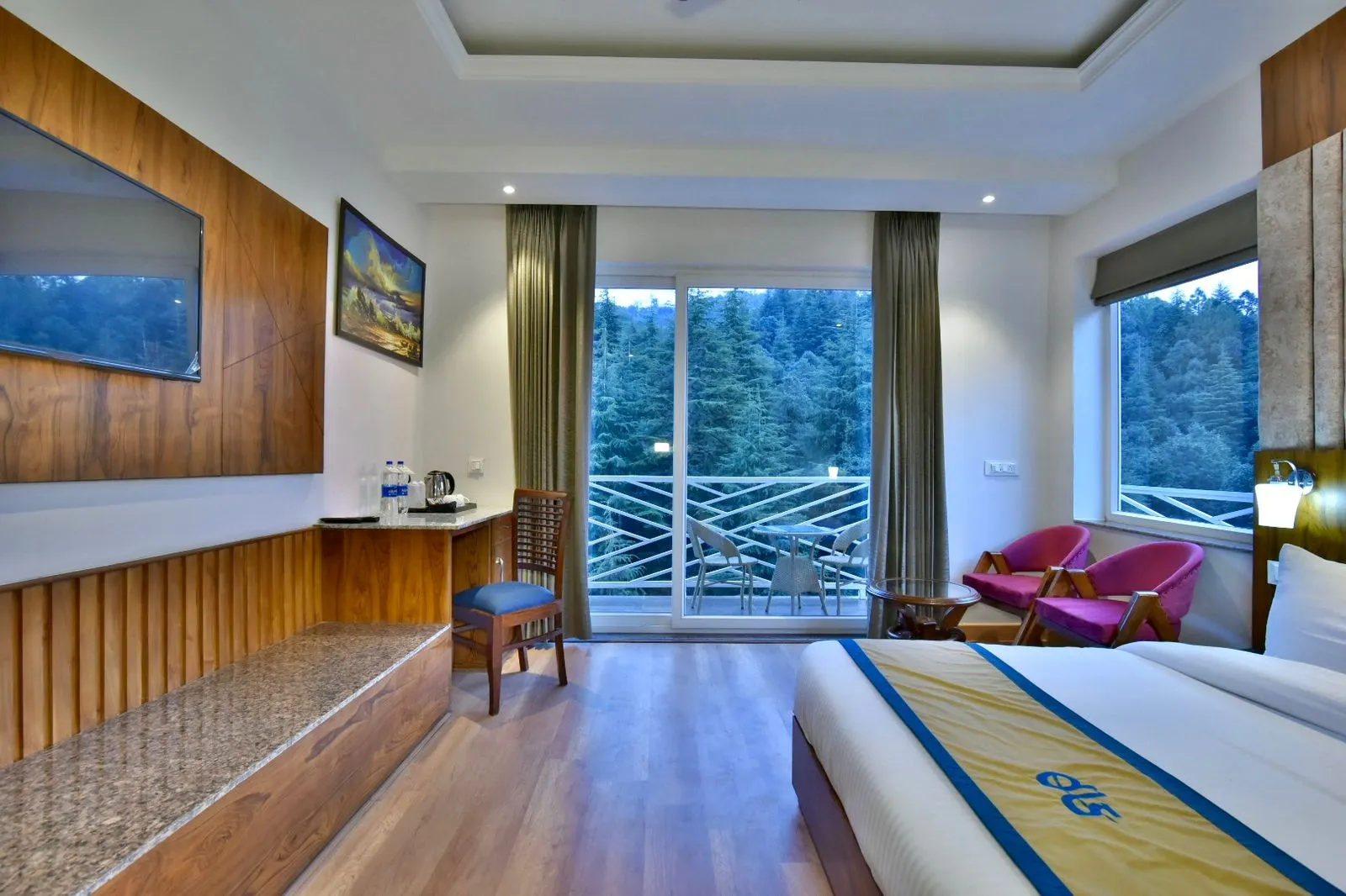 DLS Ark Holiday Inn Room