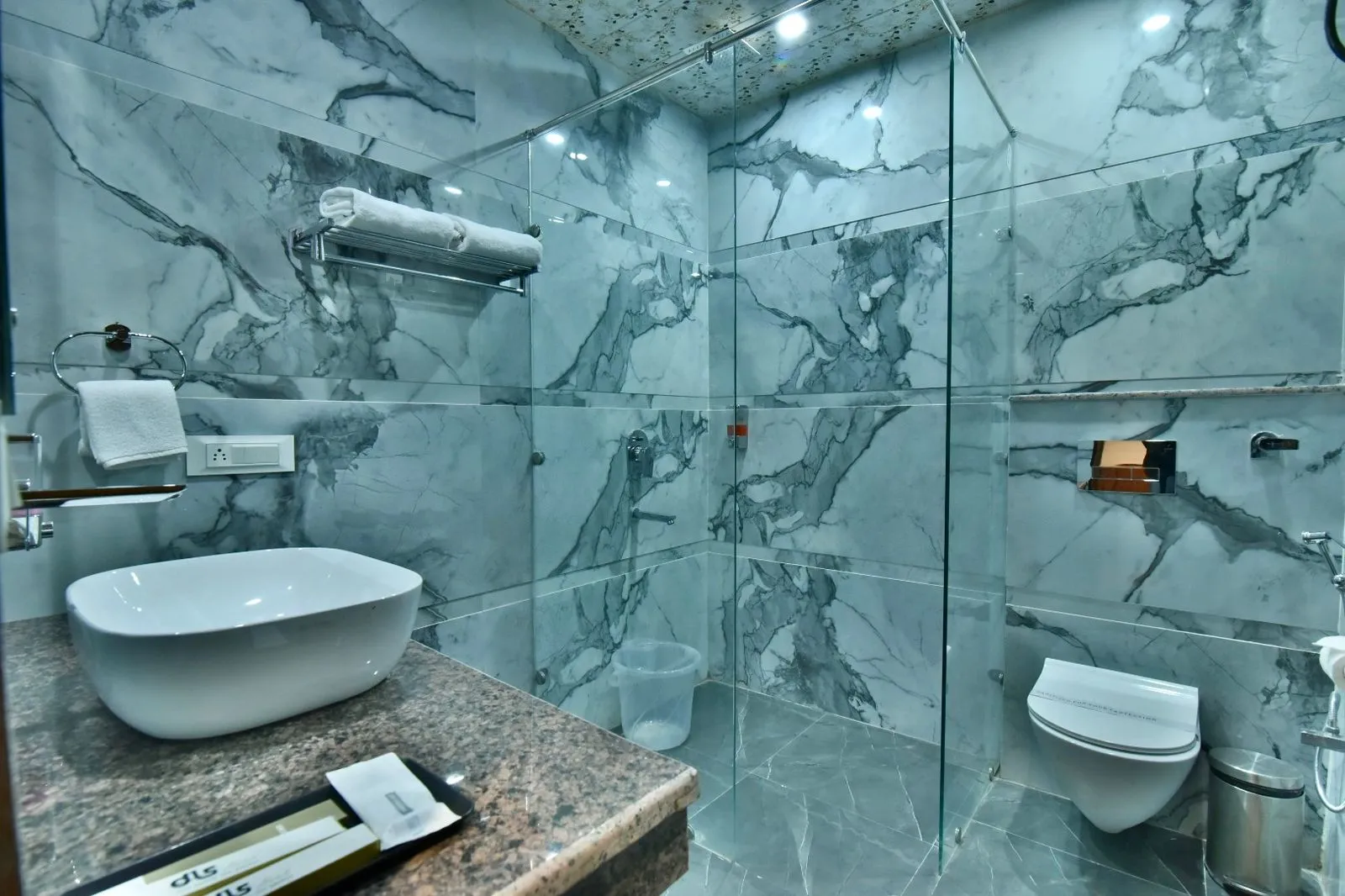DLS Ark Holiday Inn Washroom
