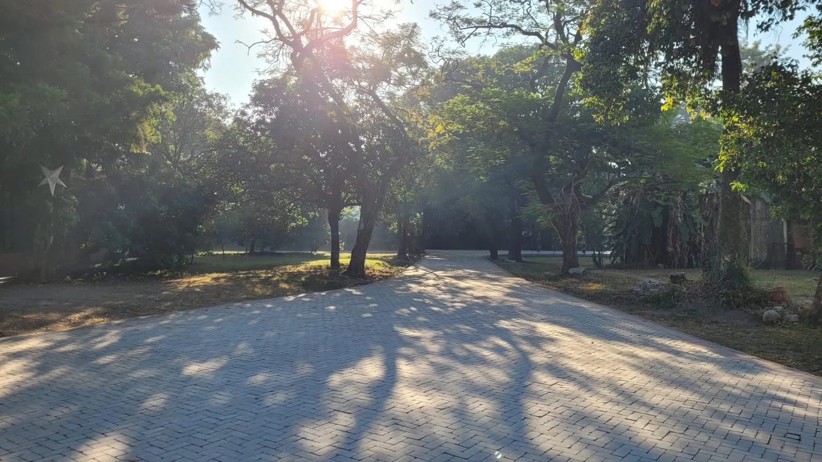 Lychee Bagh Garden