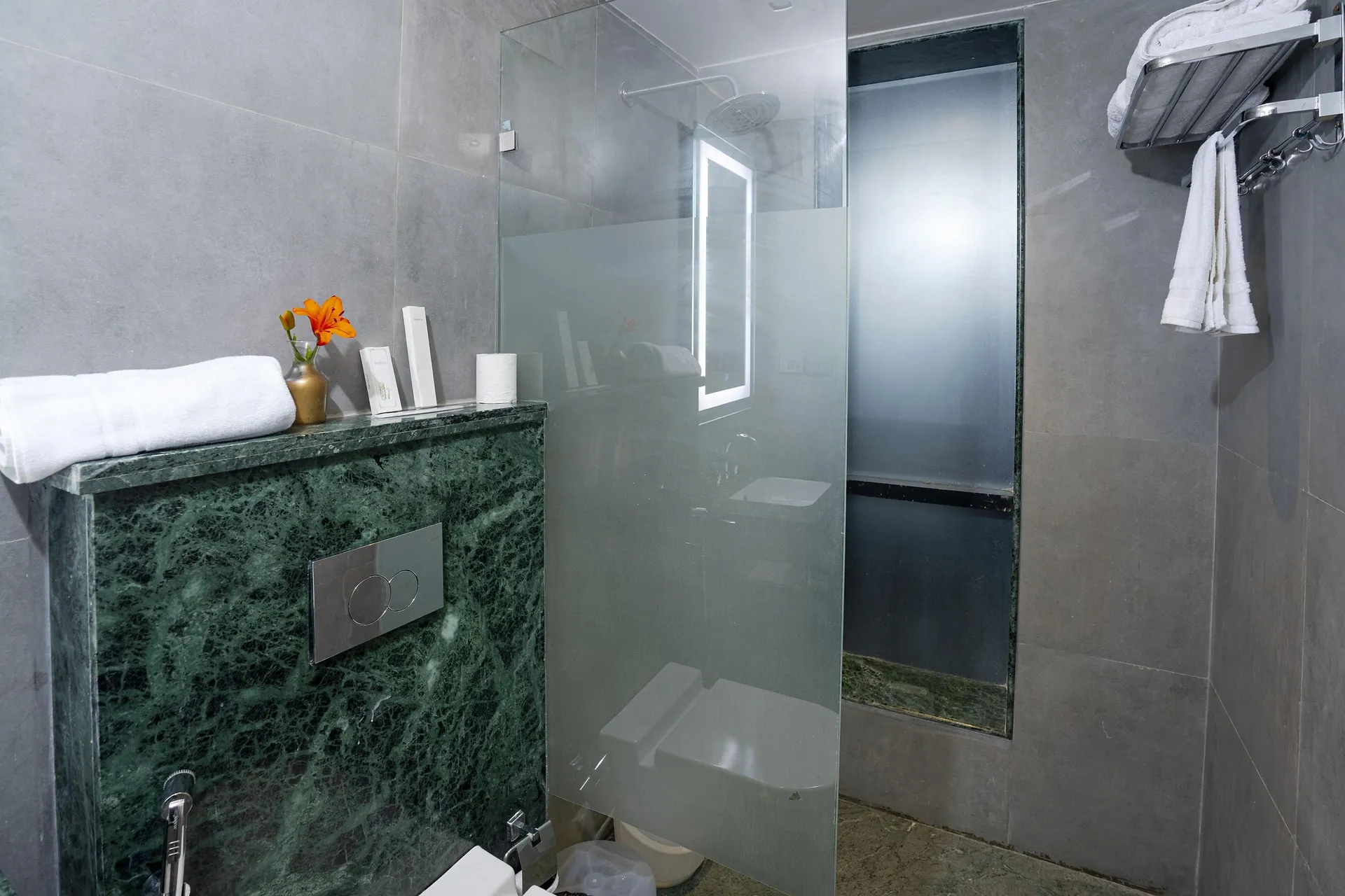 Foxoso Hotel, Delhi Airport Room