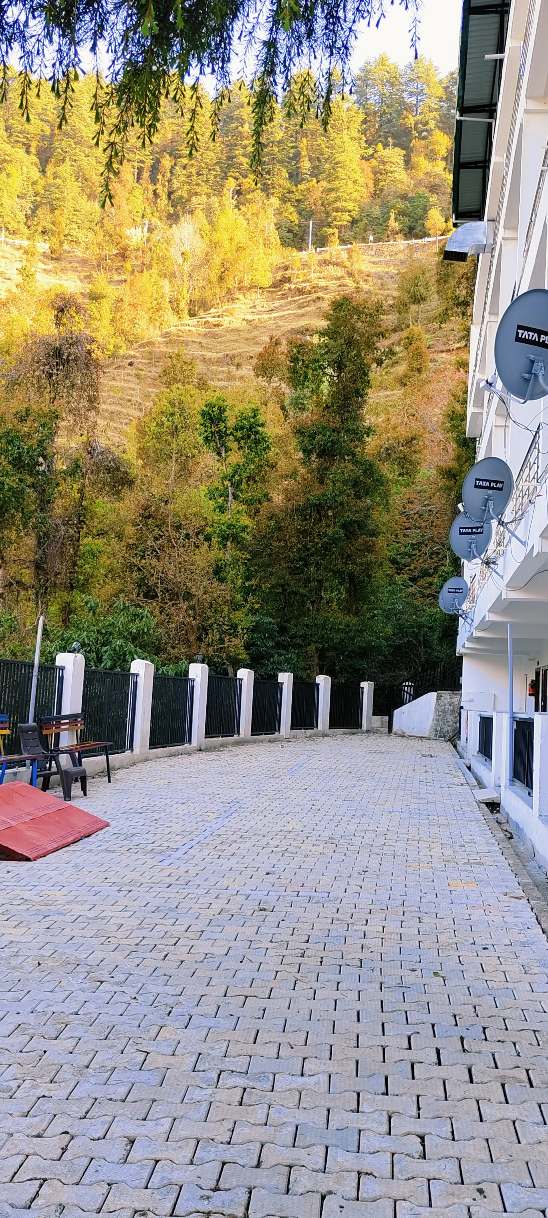Hotel Dhanolti View by LA Riqueza Common Area