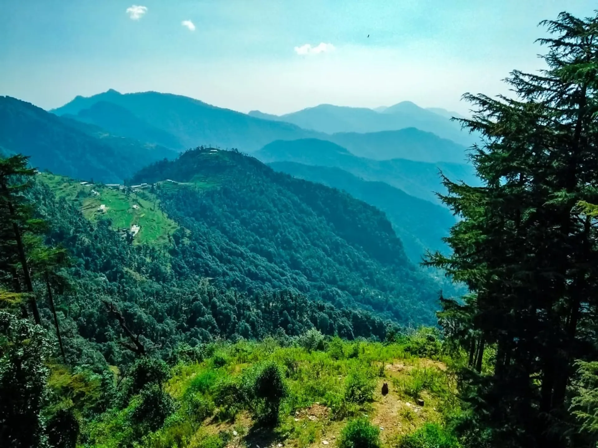 Hotel Dhanolti View by LA Riqueza Outdoors