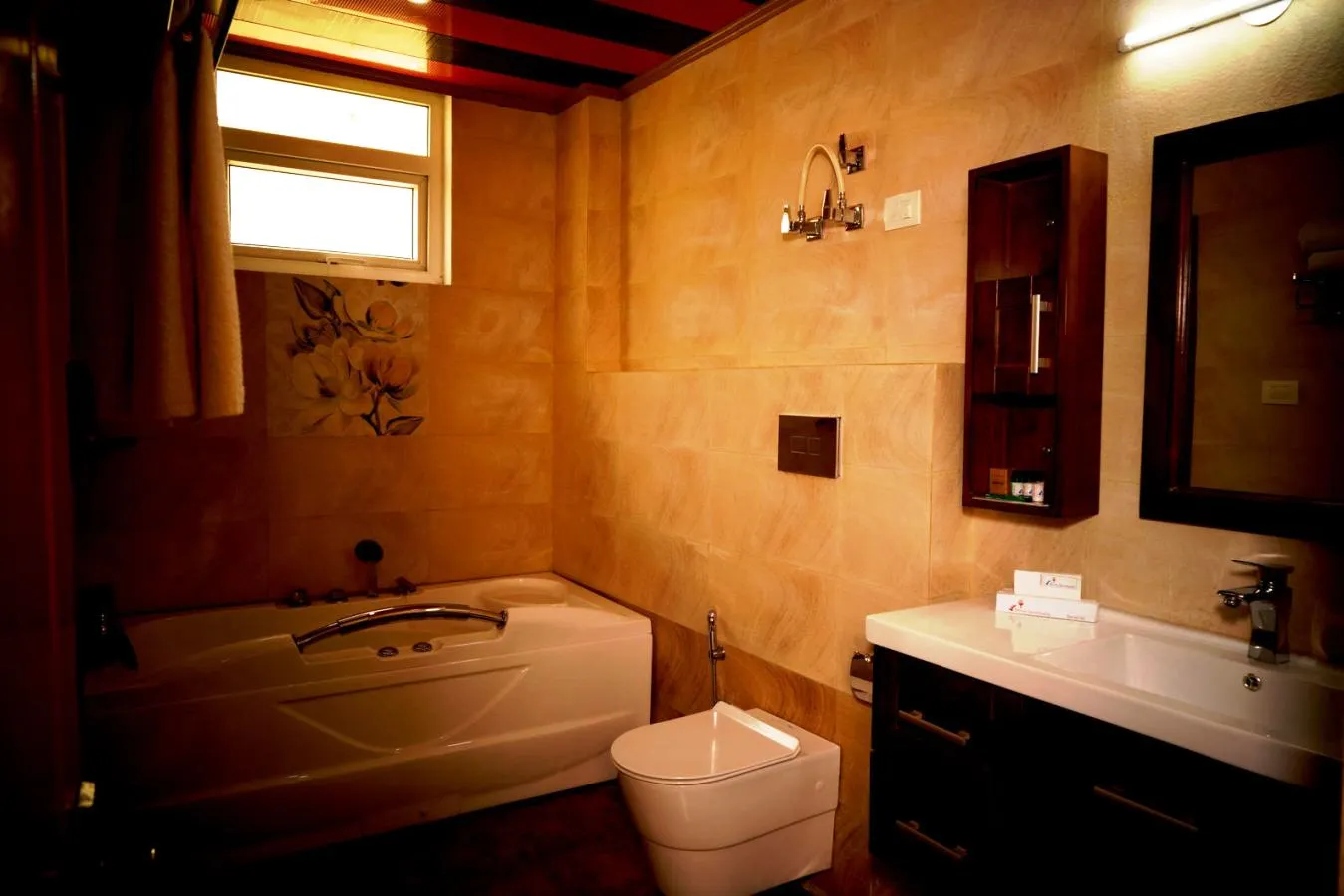 DLS Hotel Shiva Sanctuary and Spa Jacuzzi