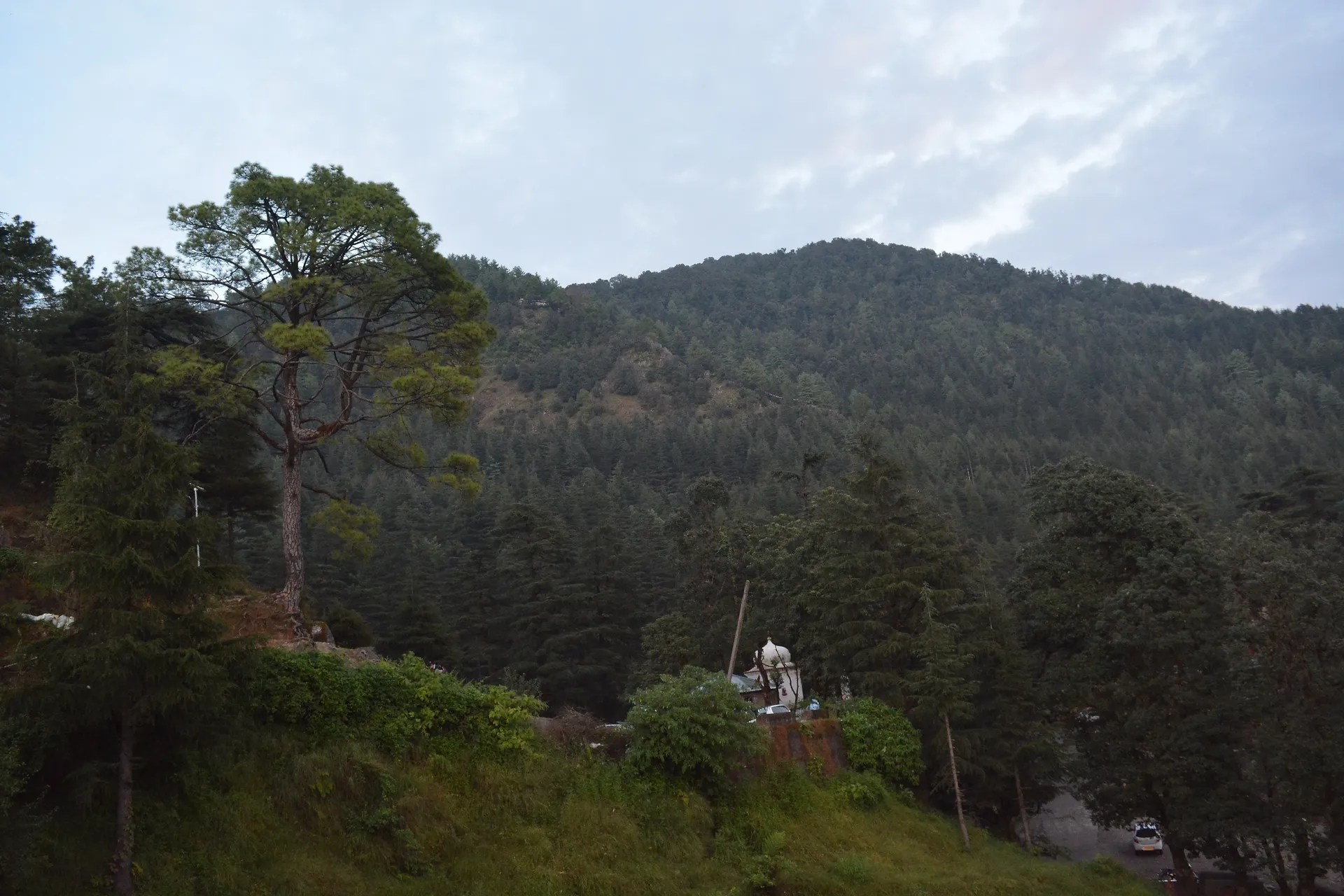DLS Hotel Shiva Sanctuary and Spa Outdoors