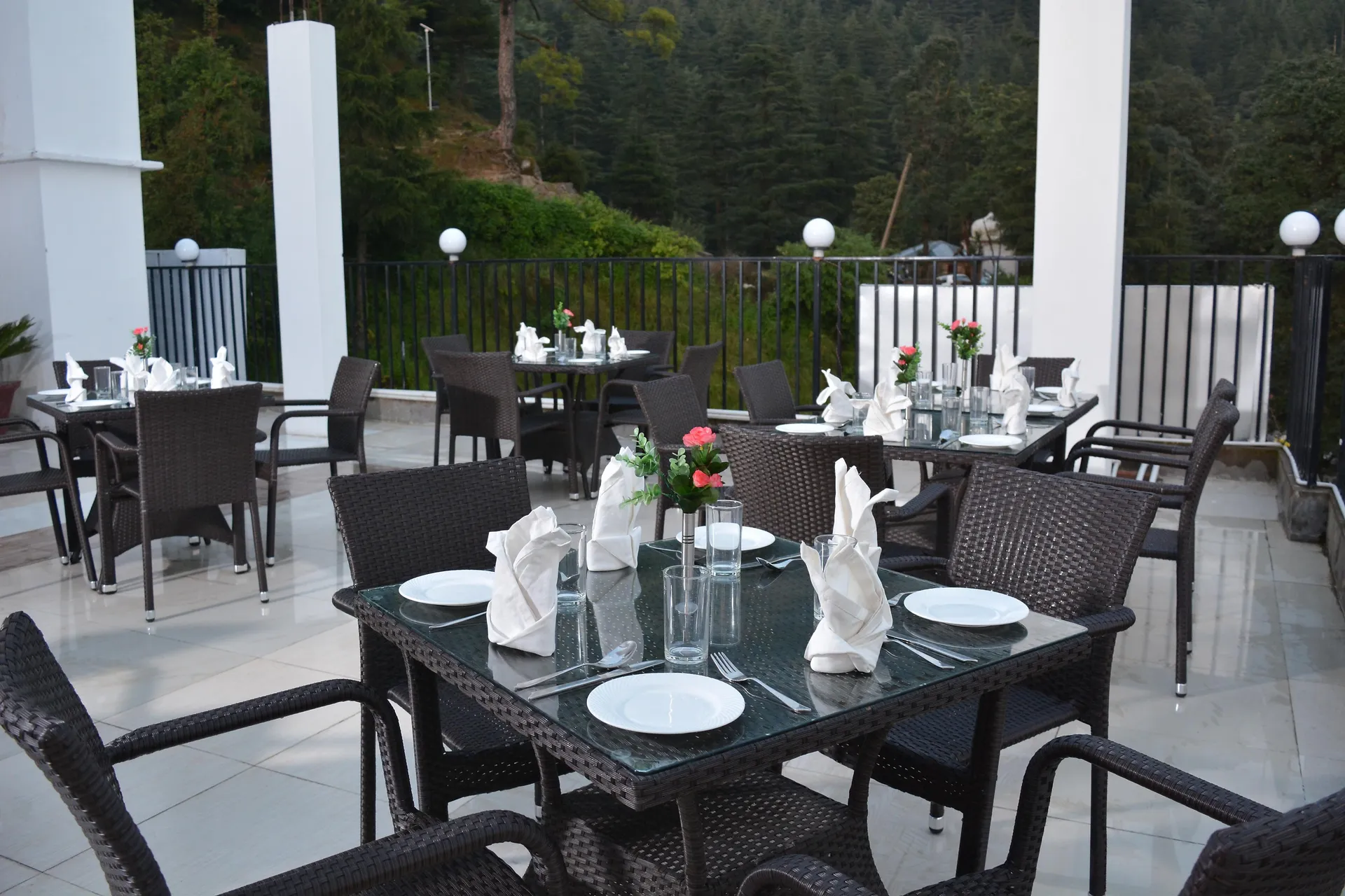 DLS Hotel Shiva Sanctuary and Spa Restaurant