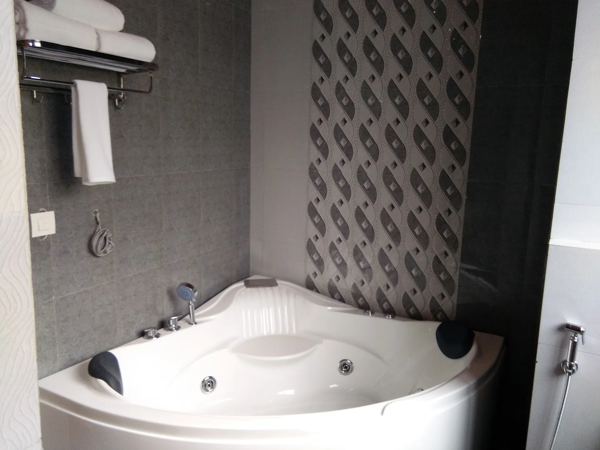 DLS Hotel Shiva Sanctuary and Spa Washroom