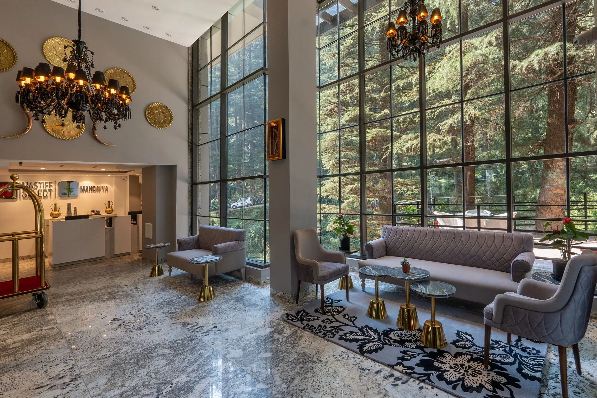 Mastiff Select Mandavya Dharamkot, McLeodganj Common Area