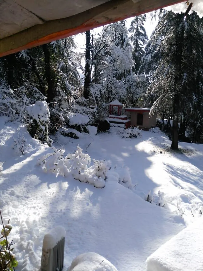 Mastiff Select Mandavya Dharamkot, McLeodganj Outdoors
