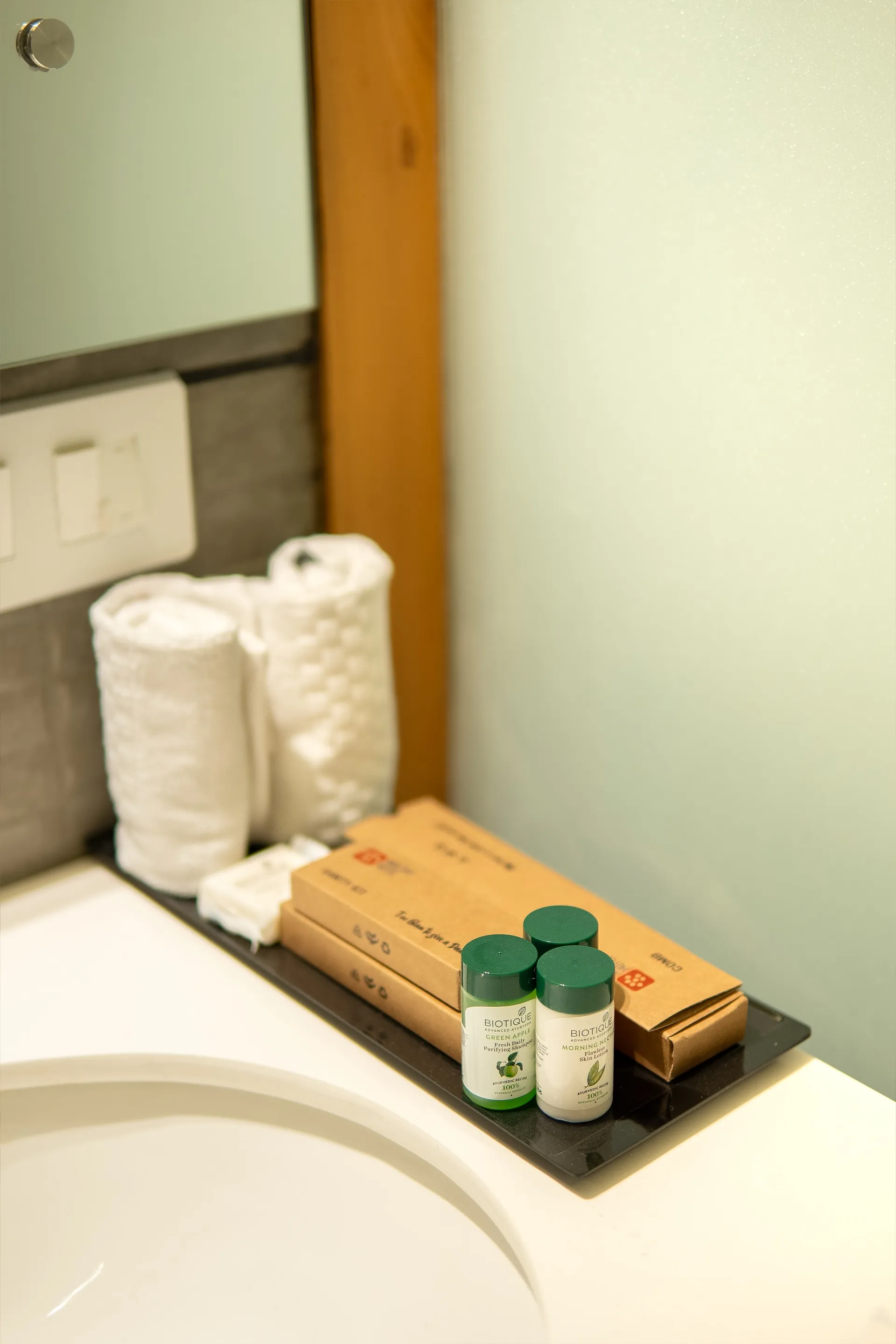 Mastiff Select Mandavya Dharamkot, McLeodganj Washroom