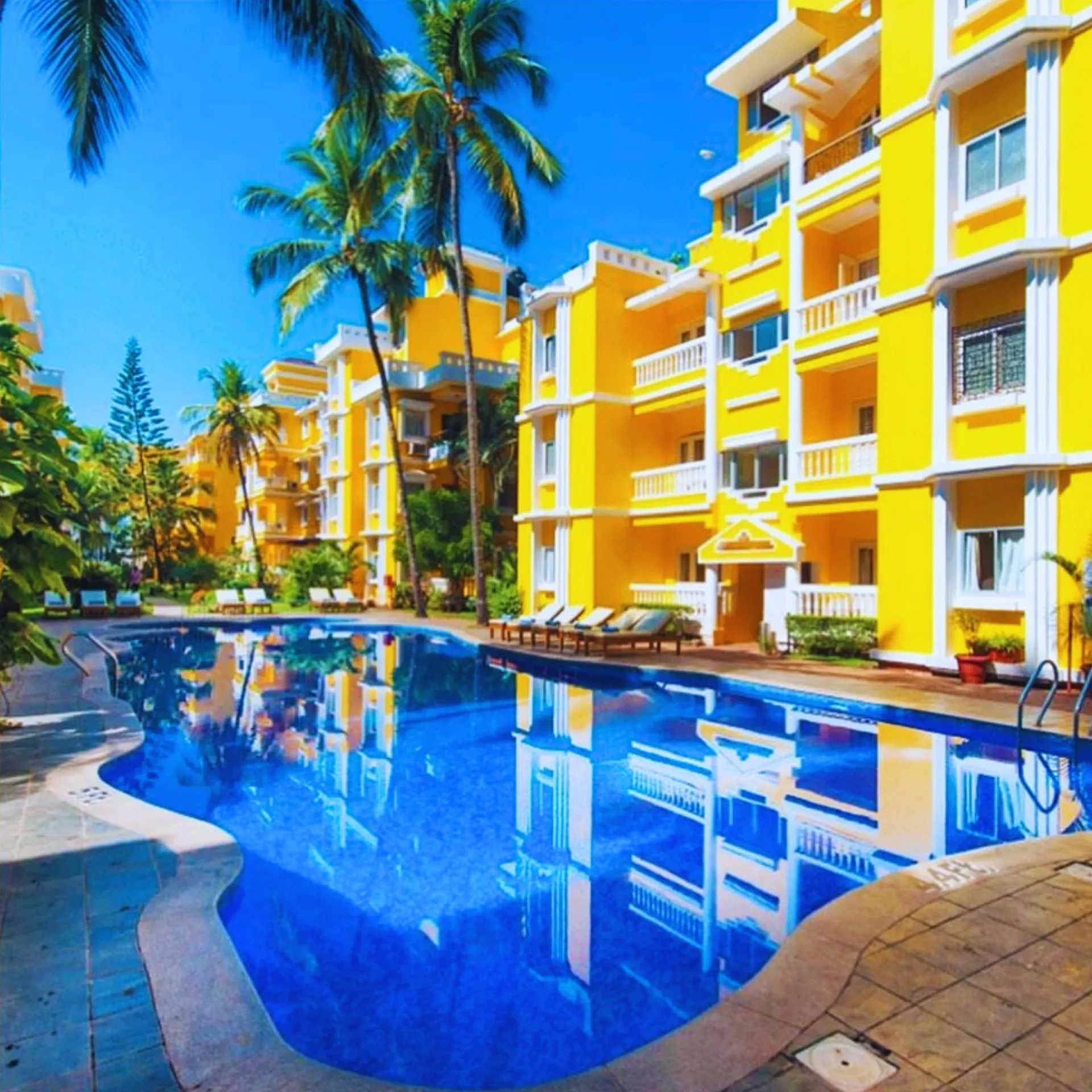 Adamo The Bellus Calangute Swimming Pool
