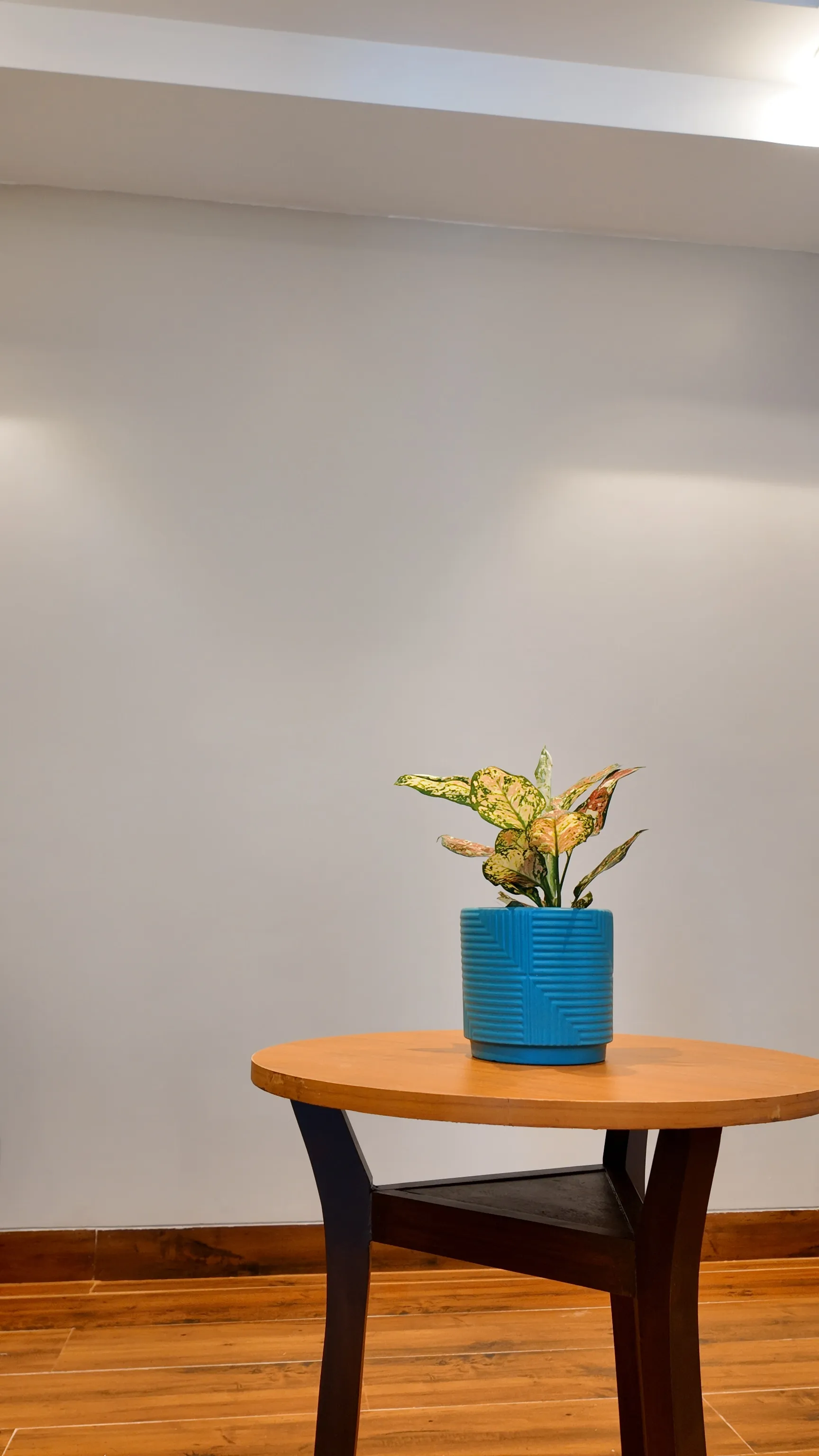 Fortune Select Candolim, Goa - Member ITC Hotels' Group Common Area