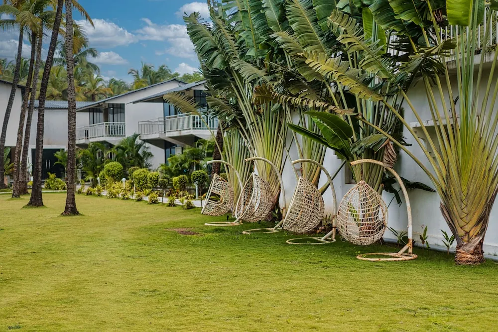 Foxoso LA Beach Resort Outdoors
