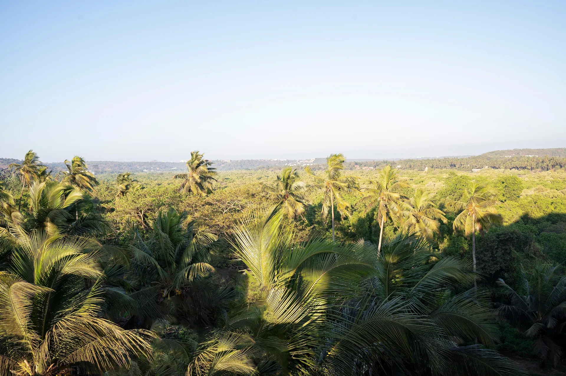 Holiday Inn Goa, Candolim Room