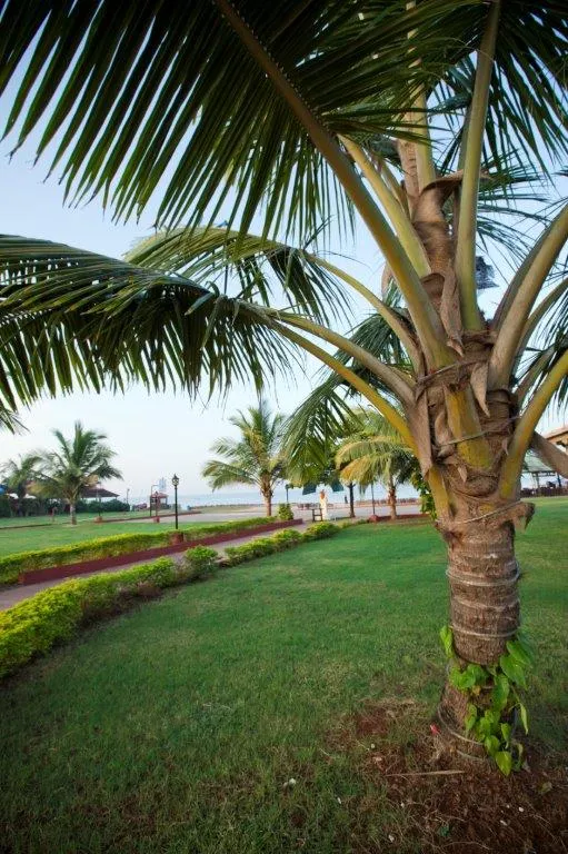 LA CALYPSO BEACH RESORT Garden