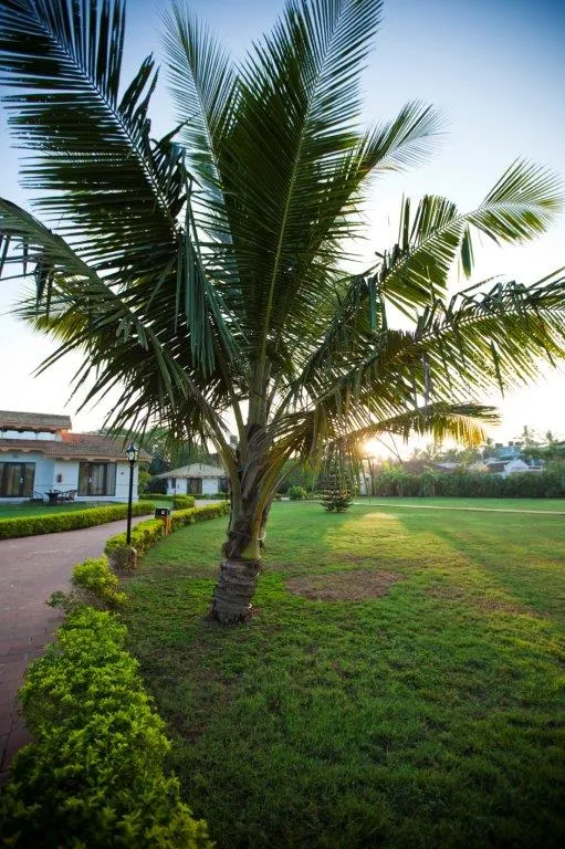 LA CALYPSO BEACH RESORT Garden