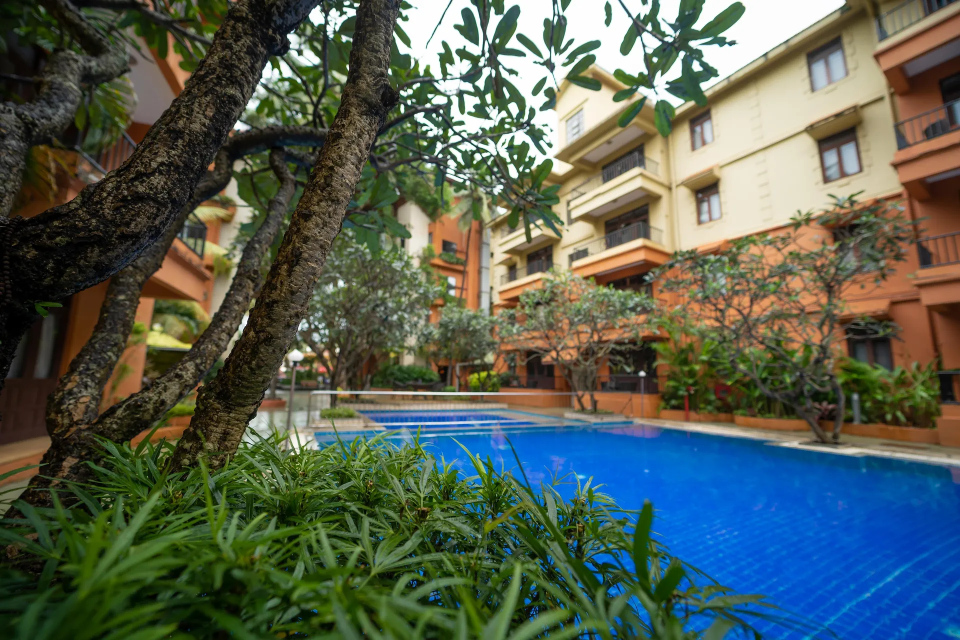 Neelam's The Grand Swimming Pool