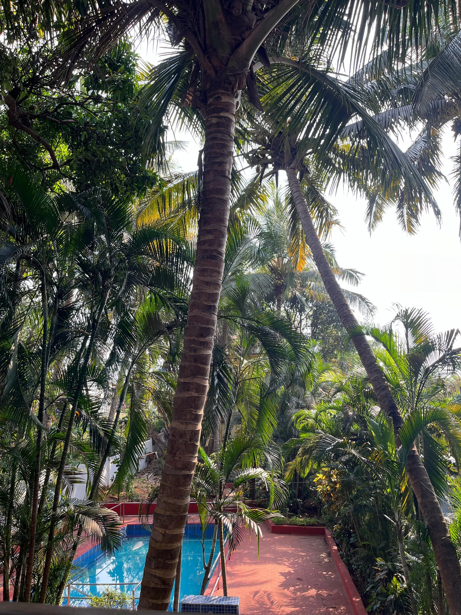 Villa Fatima Beach resort Outdoors