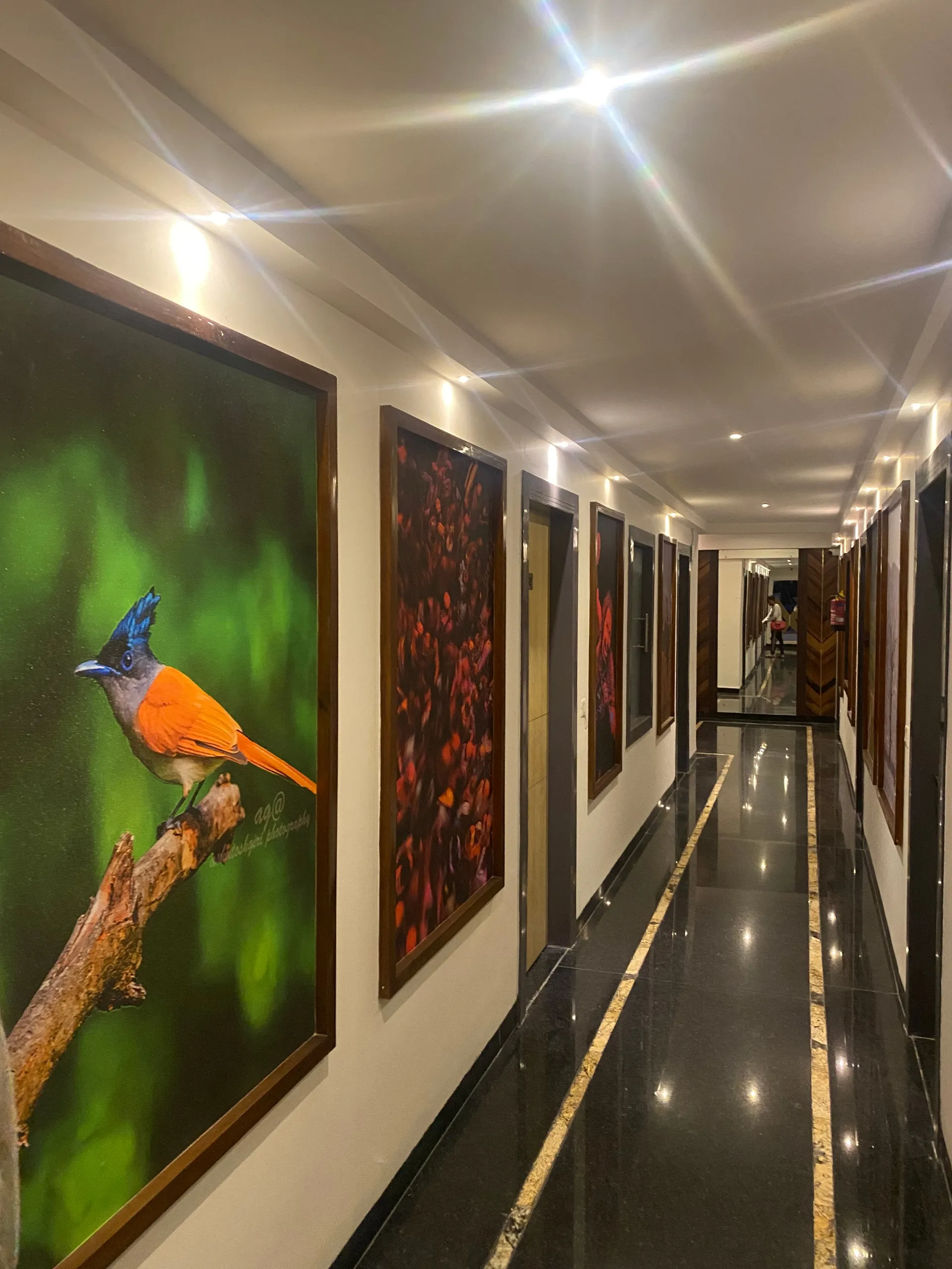 DLS Ganga Bliss Common Area