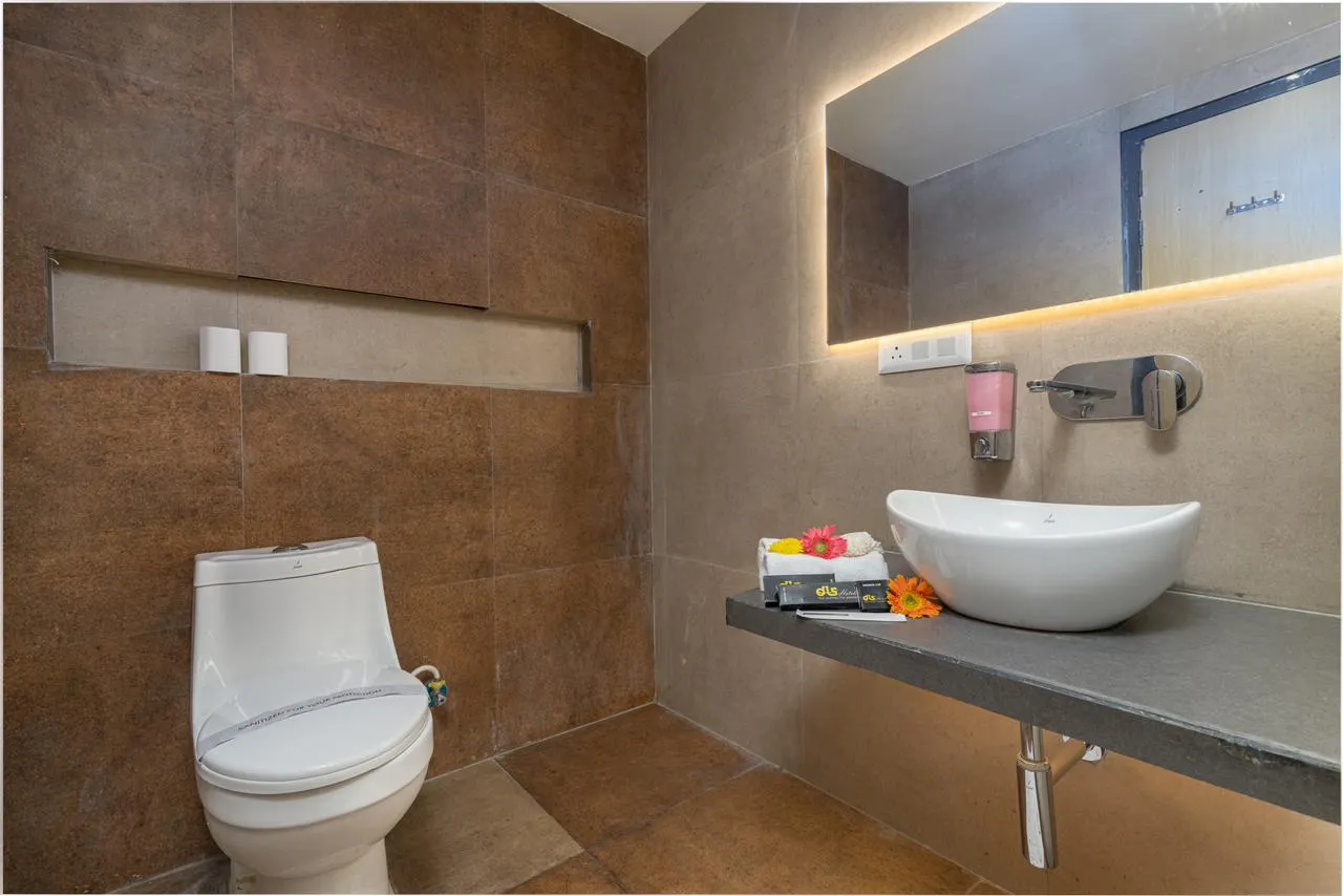 DLS Ganga Bliss Washroom