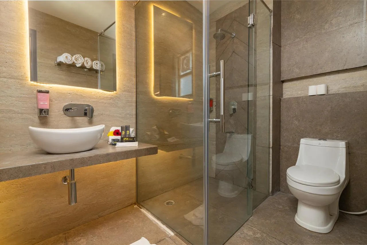 DLS Ganga Bliss Washroom