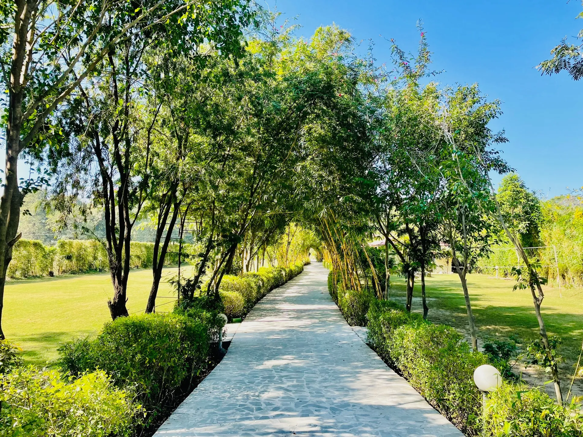 Aura by Xperience, Corbett Garden