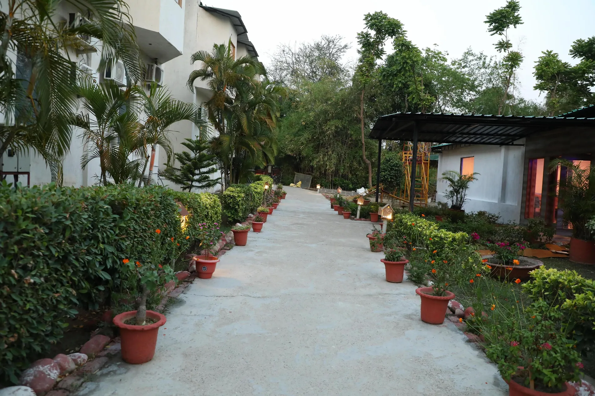 Bento The Roar Resort Entrance